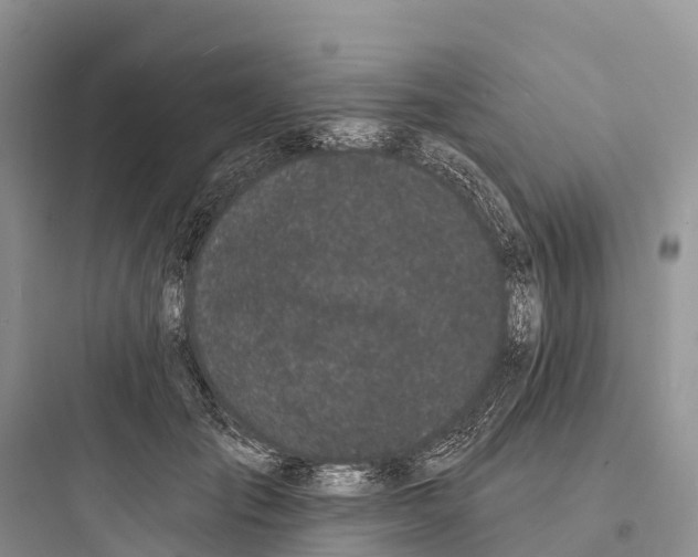 X0000097590701200803211637