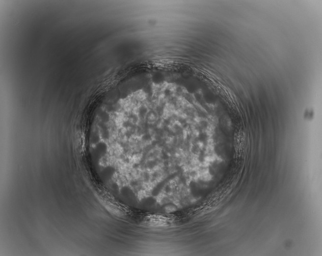 X0000097590703200803211637