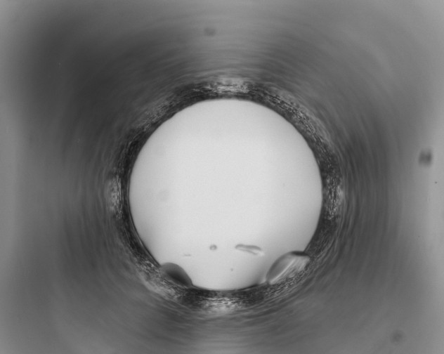 X0000097590704200803211637