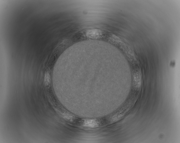 X0000097590705200803211637