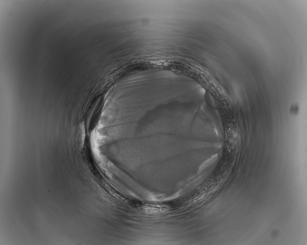 X0000097590707200803211637