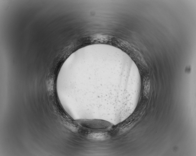 X0000097590708200803211637