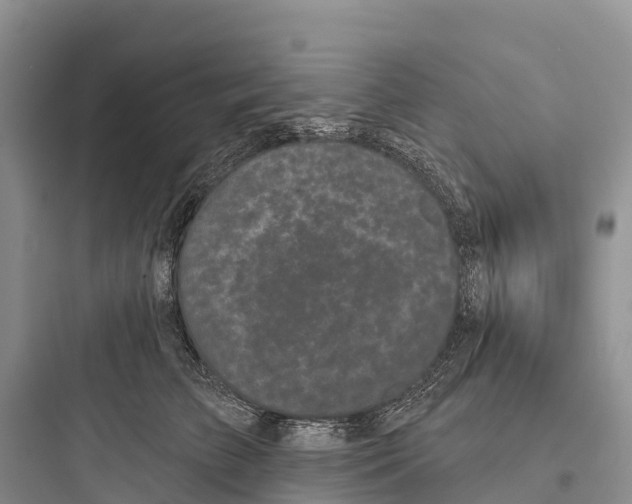 X0000097590709200803211636