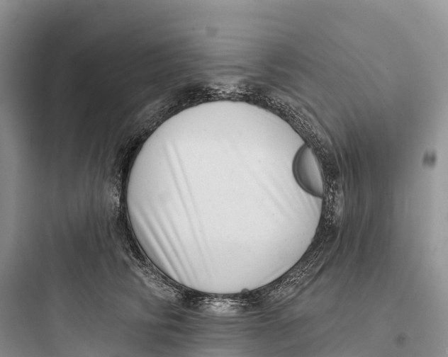 X0000097590710200803211636