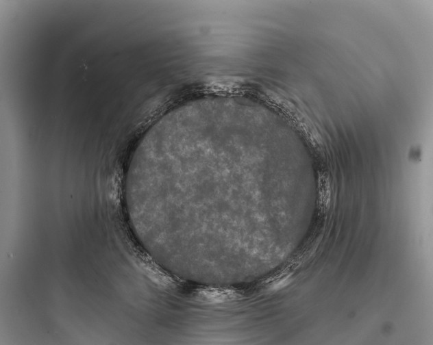 X0000097590712200803211636