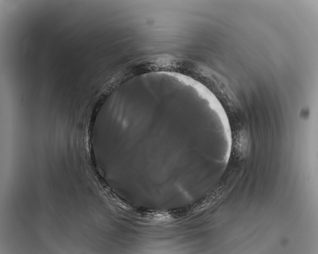 X0000097590715200803211636