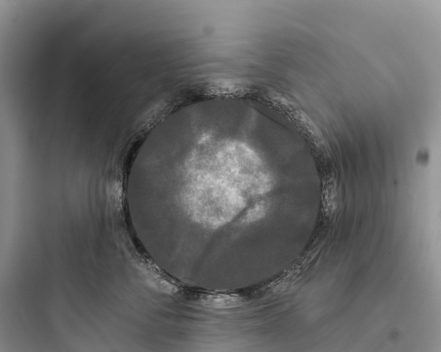 X0000097590716200803211636