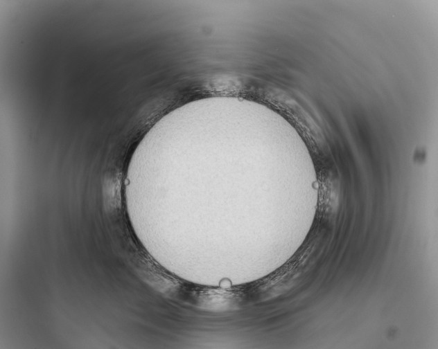 X0000097590717200803211636