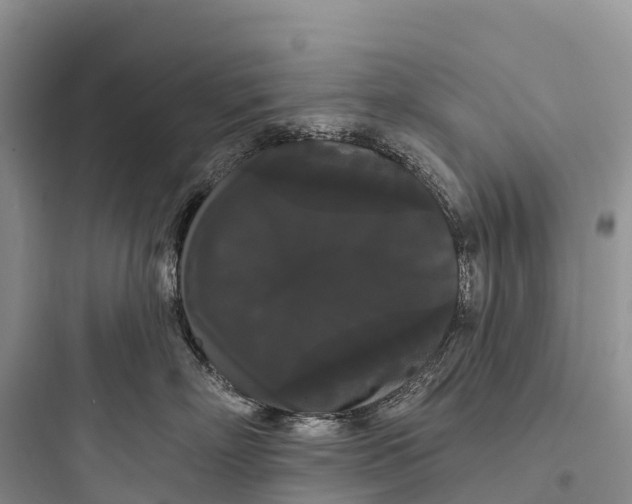 X0000097590718200803211636