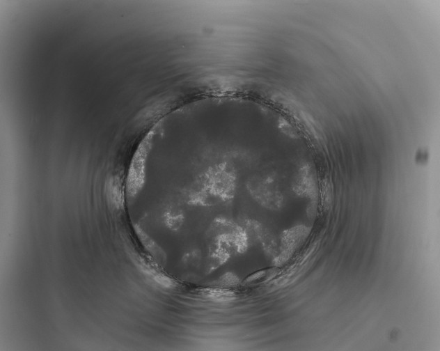 X0000097590719200803211636