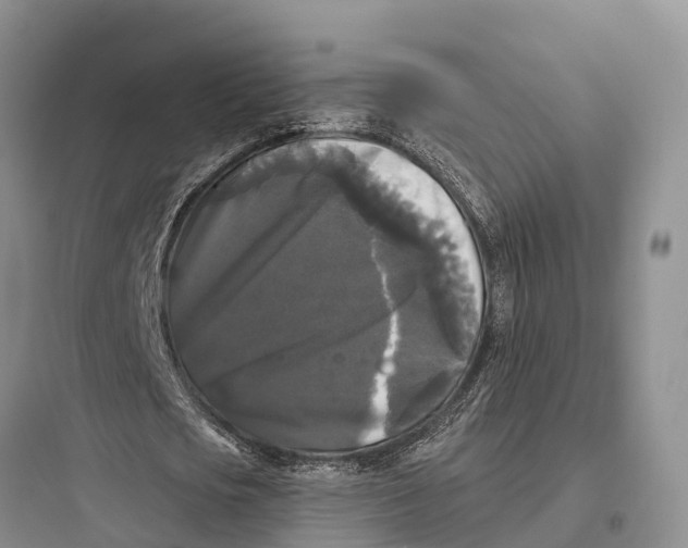 X0000097590721200803211636