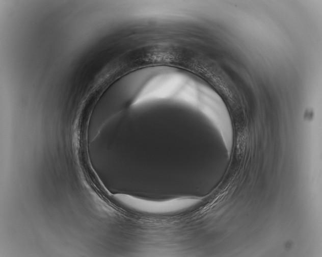 X0000097590722200803211636