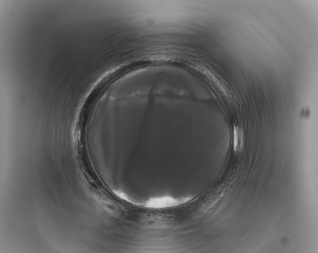 X0000097590723200803211636