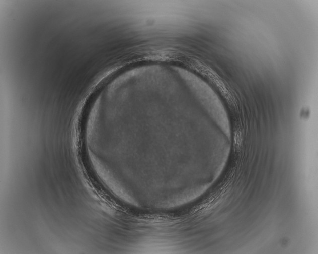 X0000097590724200803211636