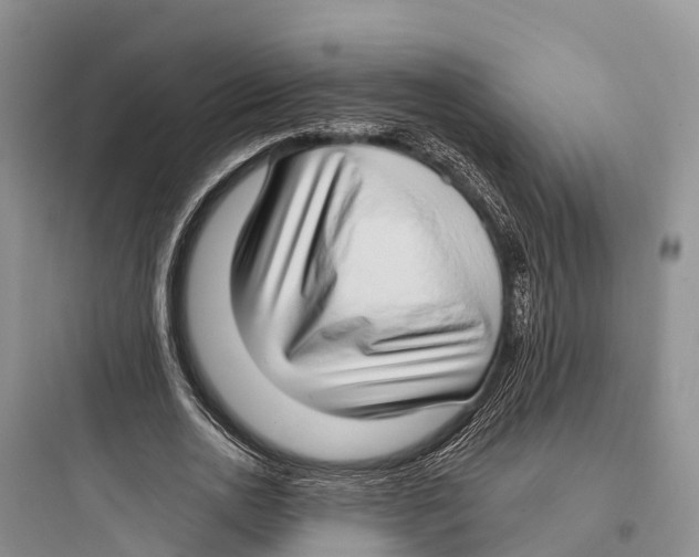 X0000097590726200803211636