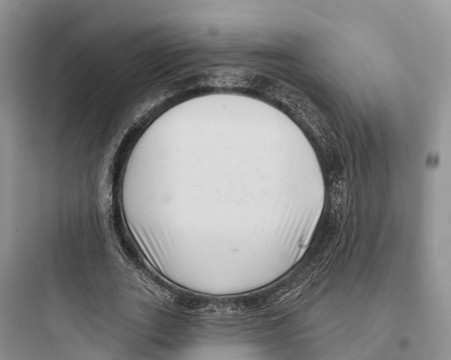 X0000097590727200803211636