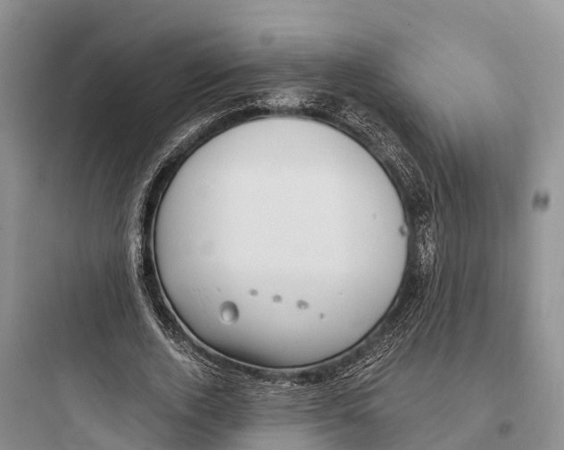 X0000097590728200803211636