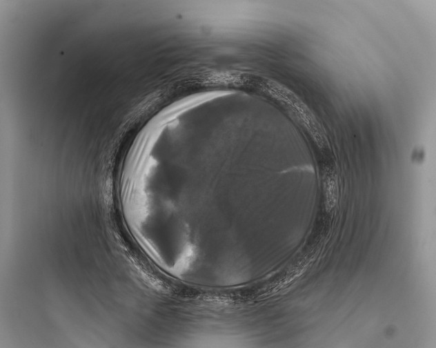 X0000097590729200803211636