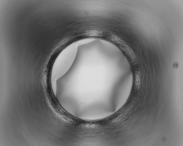 X0000097590730200803211636