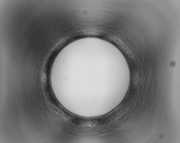 X0000097590731200803211636