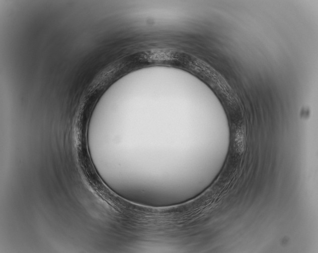 X0000097590732200803211636