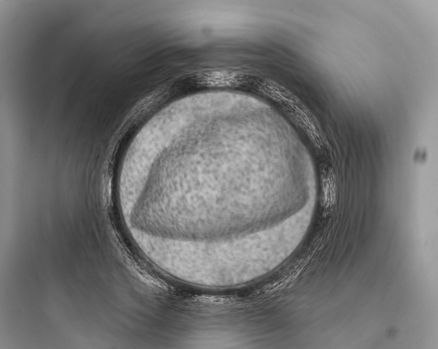 X0000097590733200803211636