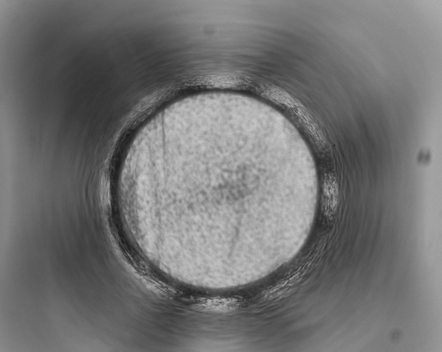 X0000097590734200803211636