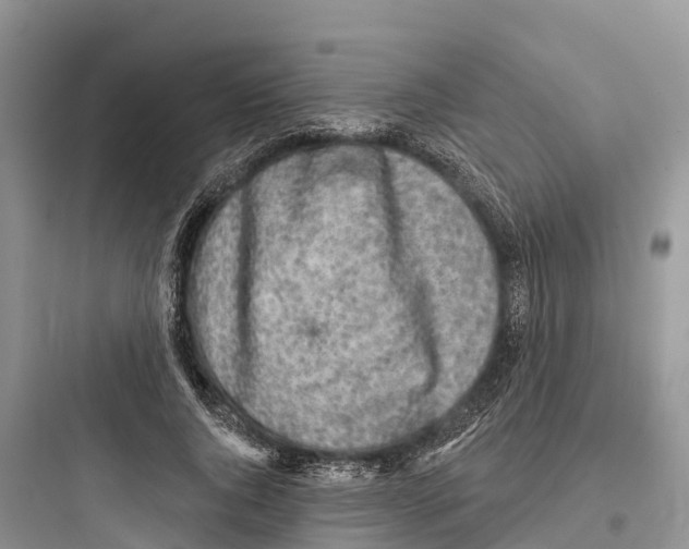 X0000097590736200803211636