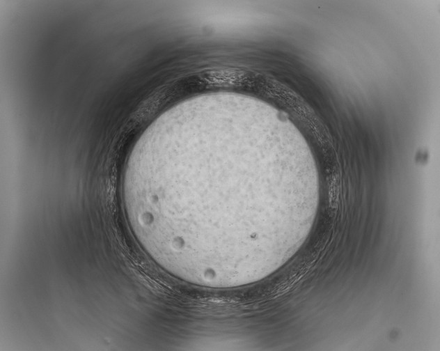 X0000097590737200803211636