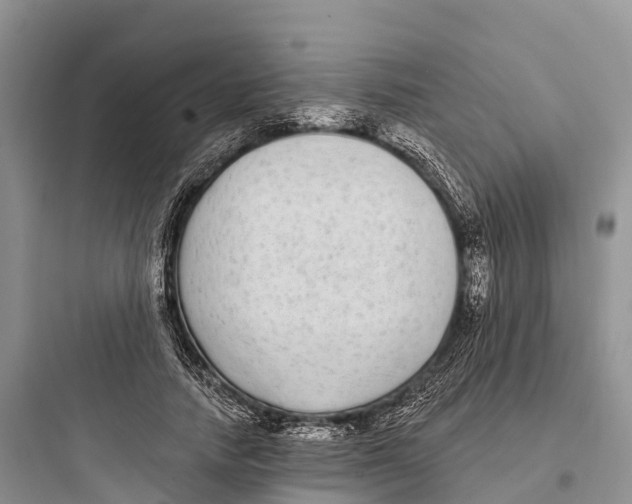 X0000097590738200803211636