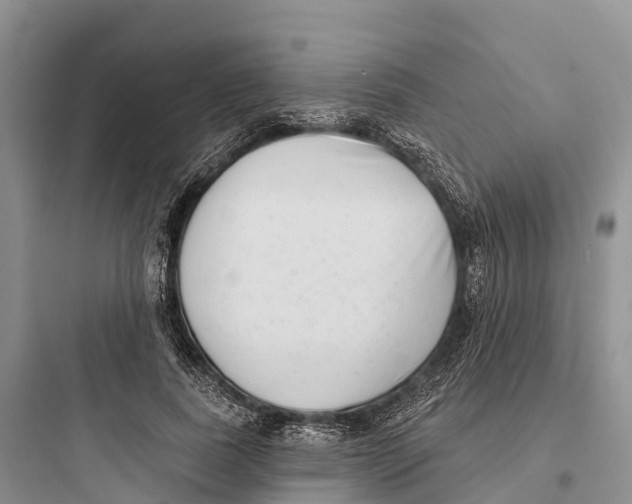 X0000097590739200803211636