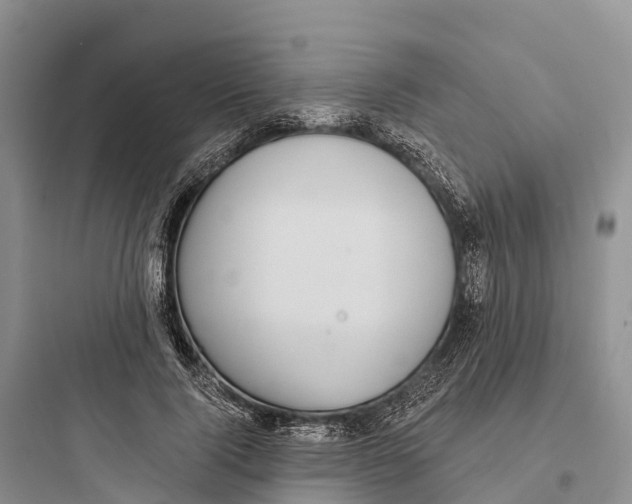 X0000097590740200803211636