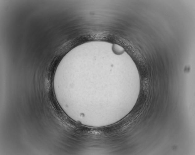 X0000097590741200803211636