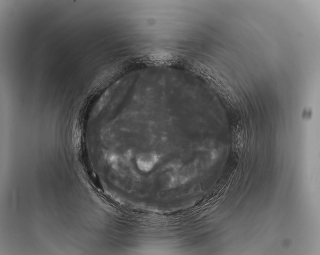 X0000097590742200803211636