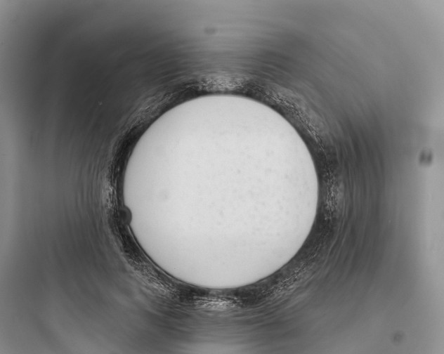 X0000097590743200803211636