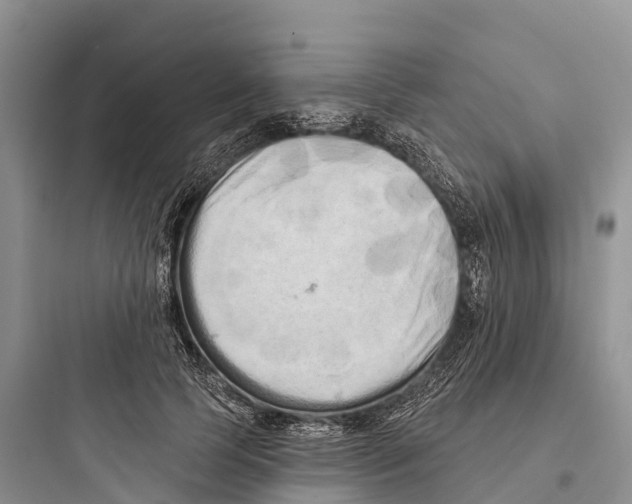 X0000097590745200803211636