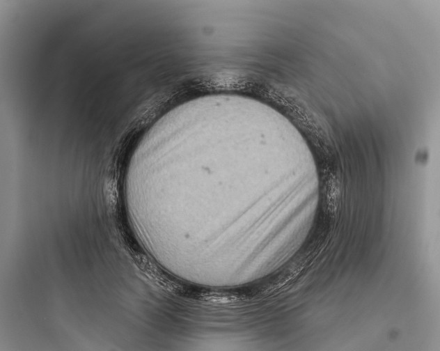 X0000097590746200803211636