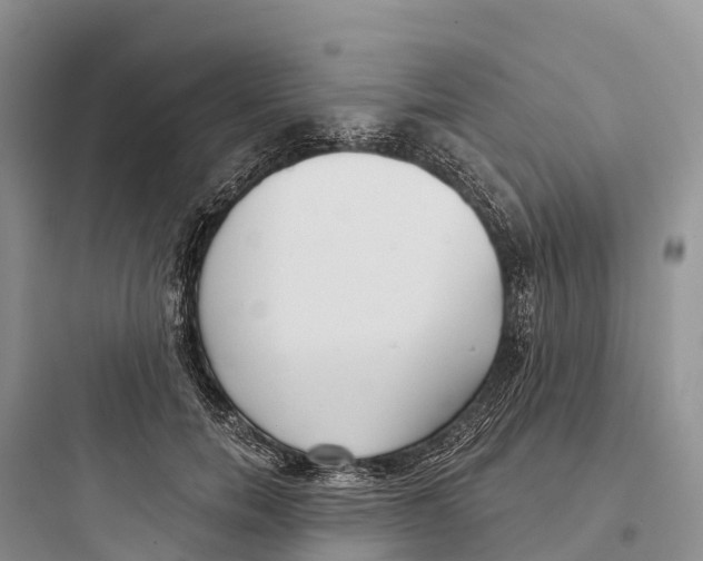 X0000097590750200803211636