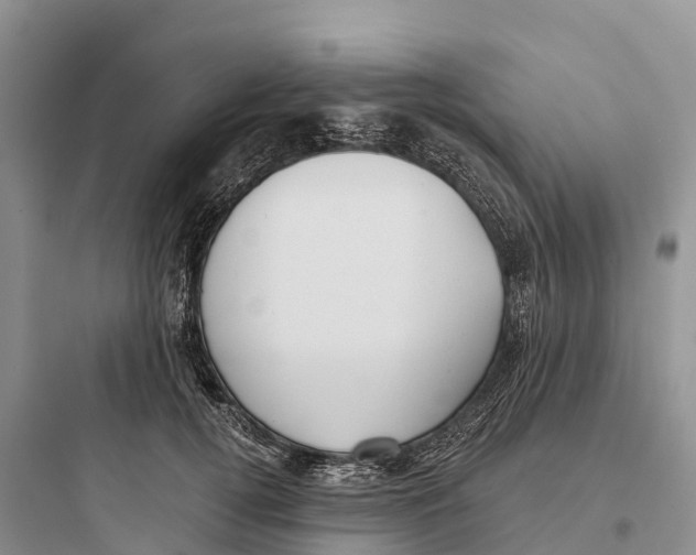 X0000097590752200803211636