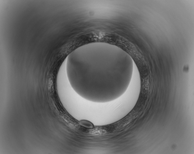 X0000097590754200803211636