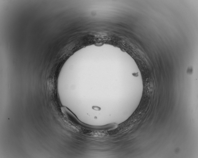 X0000097590756200803211636