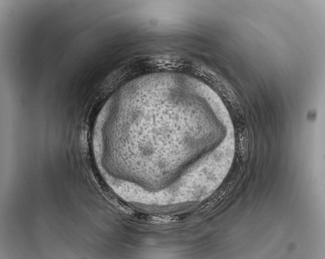 X0000097590757200803211636