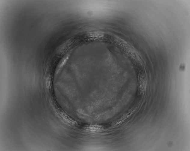 X0000097590758200803211636