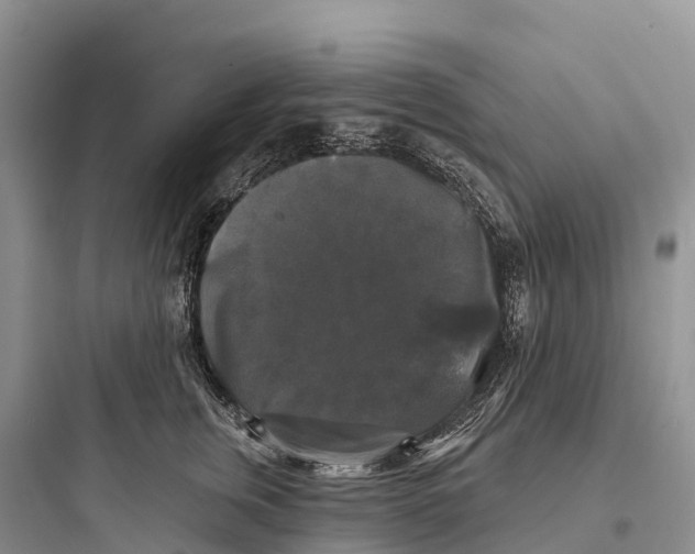 X0000097590759200803211636