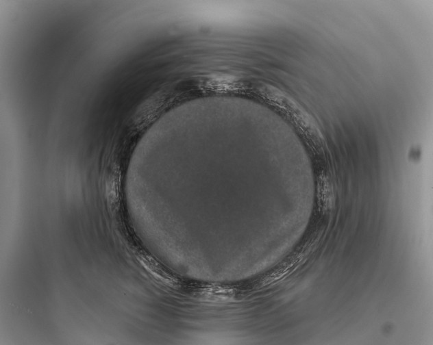 X0000097590760200803211636