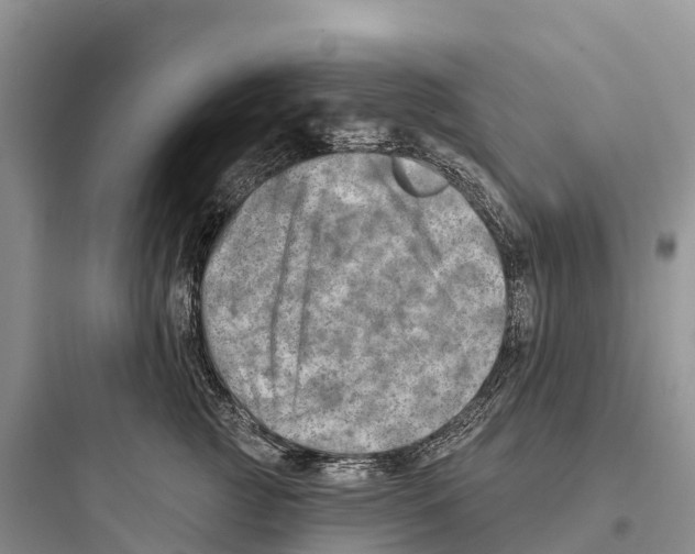 X0000097590761200803211636