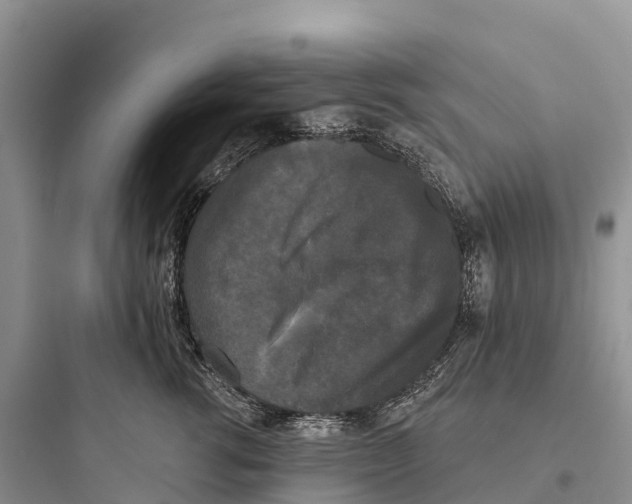 X0000097590762200803211636