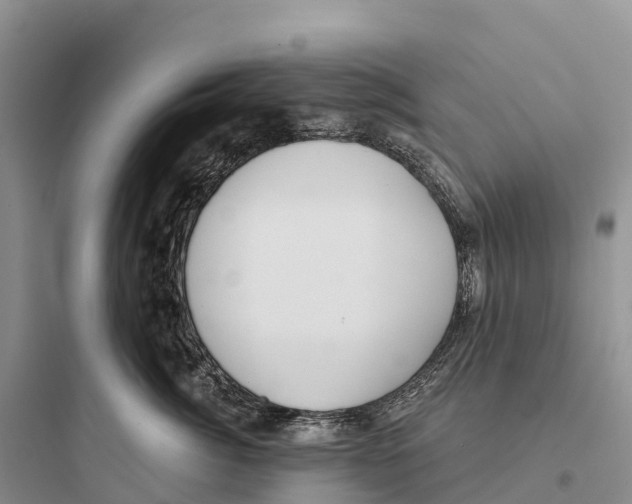 X0000097590764200803211636