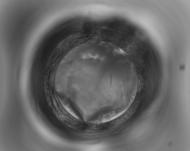 X0000097590765200803211636