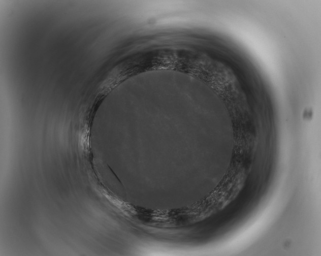 X0000097590766200803211636